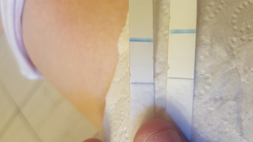 Home Pregnancy Test