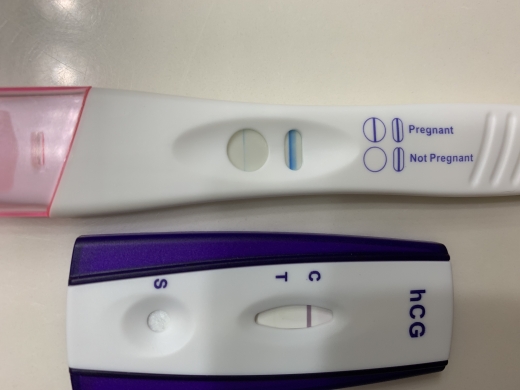 Home Pregnancy Test