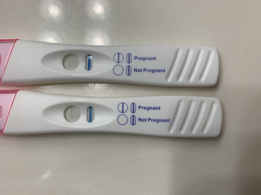 Home Pregnancy Test