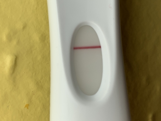 Home Pregnancy Test