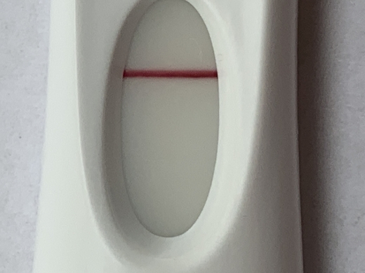Home Pregnancy Test