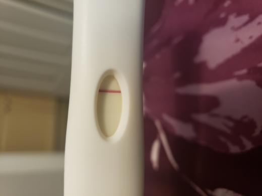 Home Pregnancy Test