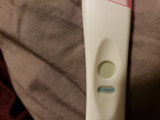 Home Pregnancy Test