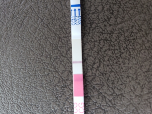 Home Pregnancy Test