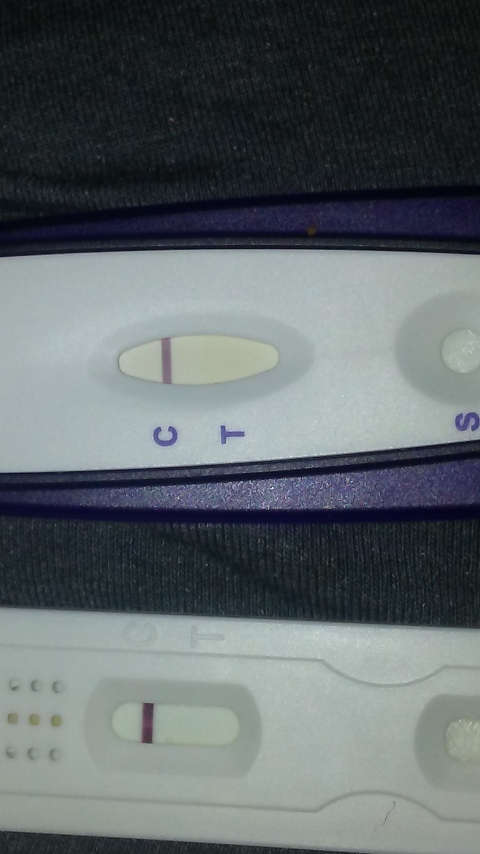 Home Pregnancy Test