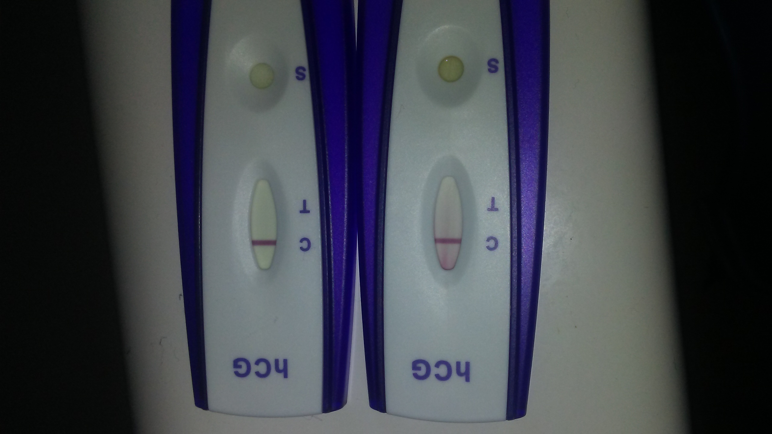 Home Pregnancy Test