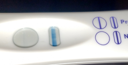 Home Pregnancy Test