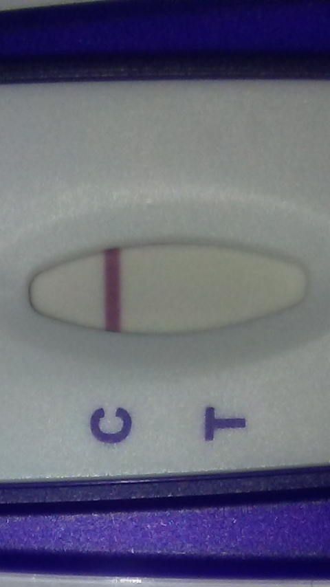 Home Pregnancy Test