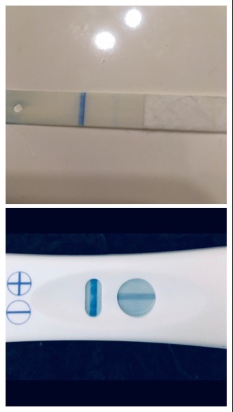 Home Pregnancy Test