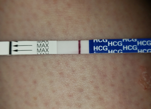 Home Pregnancy Test