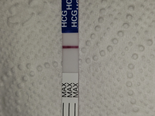 Home Pregnancy Test