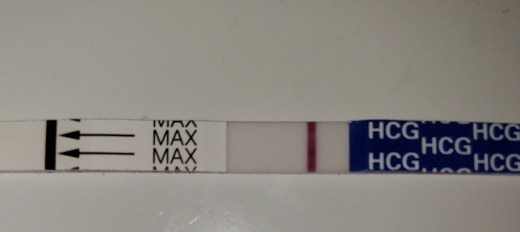 Home Pregnancy Test
