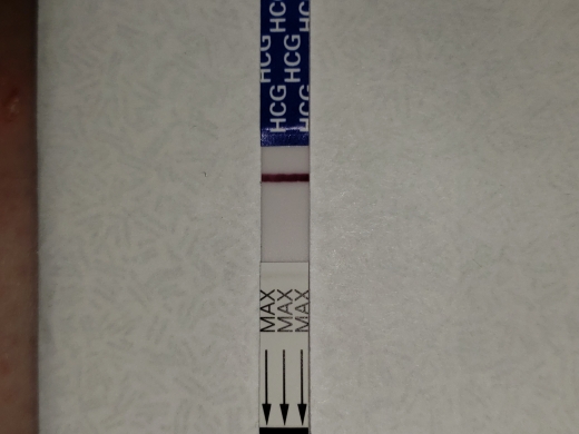 Home Pregnancy Test