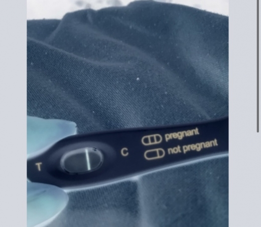 Home Pregnancy Test