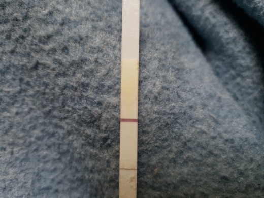 Home Pregnancy Test