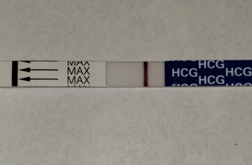 Home Pregnancy Test