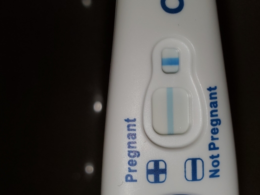 Clearblue Plus Pregnancy Test, 10 Days Post Ovulation, Cycle Day 28