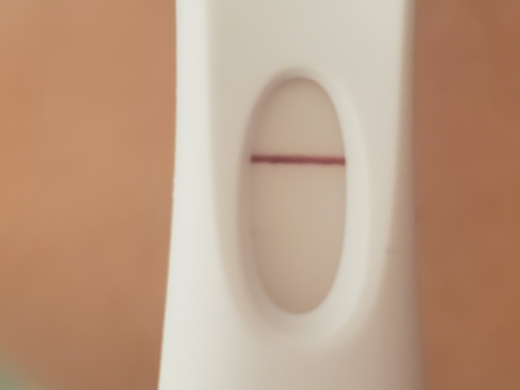First Response Early Pregnancy Test, 11 Days Post Ovulation, Cycle Day 29