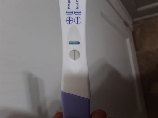 Home Pregnancy Test
