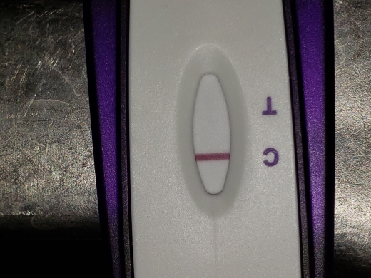Home Pregnancy Test