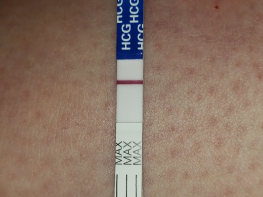 Home Pregnancy Test