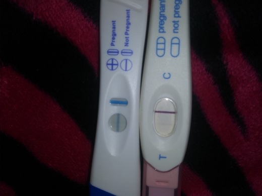 Home Pregnancy Test