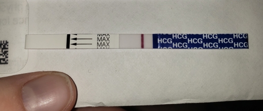 Home Pregnancy Test