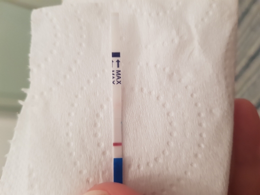 Home Pregnancy Test