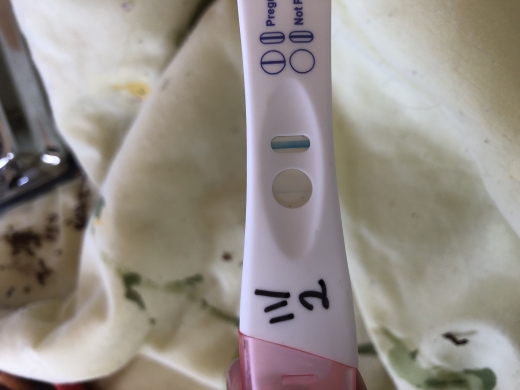 Home Pregnancy Test