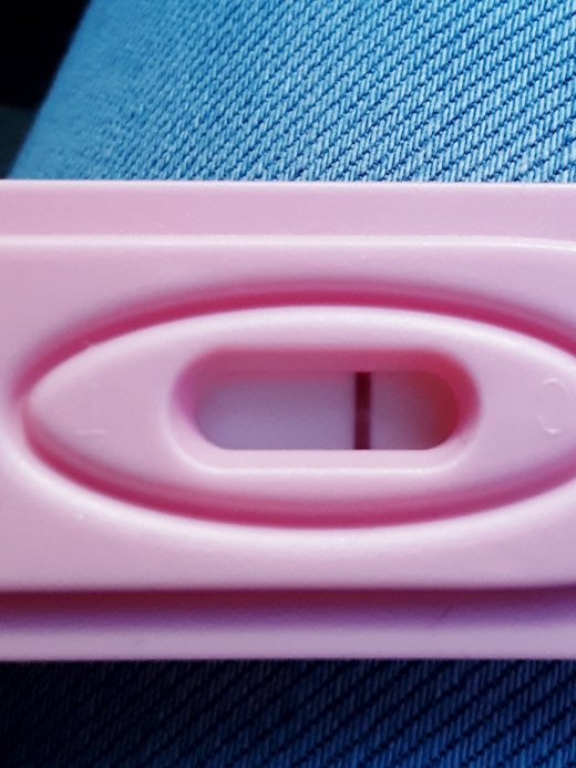 Home Pregnancy Test