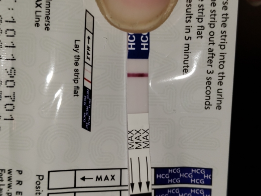 Home Pregnancy Test