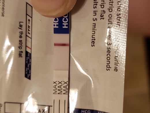 Home Pregnancy Test
