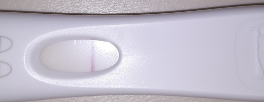 Home Pregnancy Test