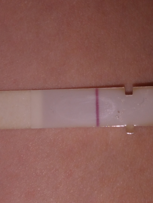 First Response Rapid Pregnancy Test