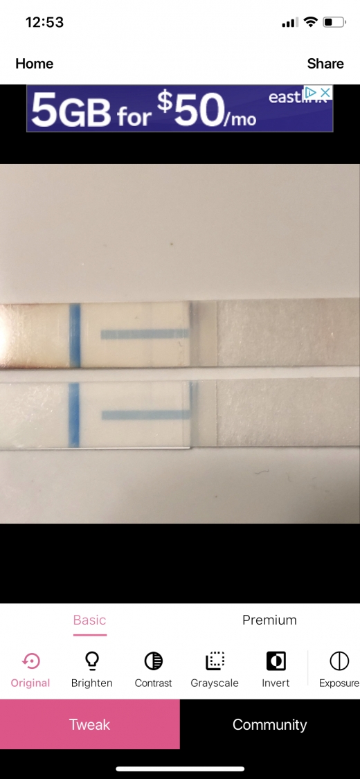 Clearblue Plus Pregnancy Test