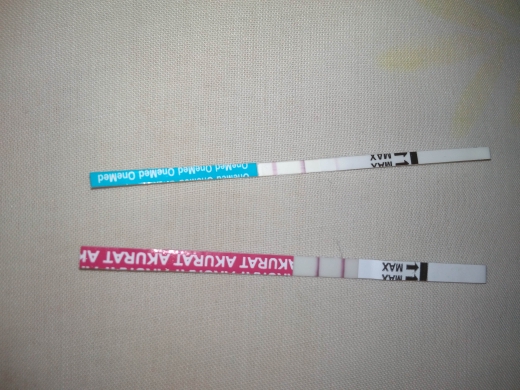 Home Pregnancy Test