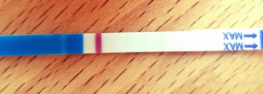 Home Pregnancy Test