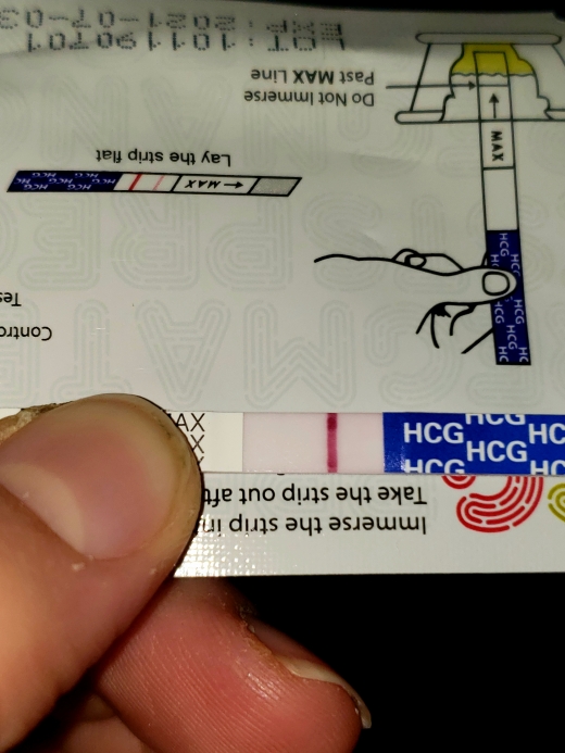Home Pregnancy Test