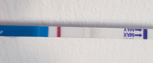 Home Pregnancy Test