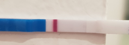 Generic Pregnancy Test, 13 Days Post Ovulation