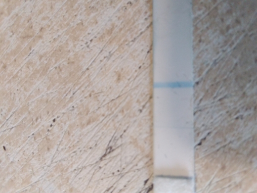 Home Pregnancy Test