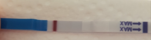 Home Pregnancy Test, 15 Days Post Ovulation