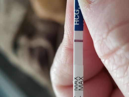 Home Pregnancy Test