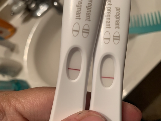 Home Pregnancy Test
