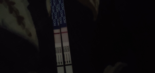 Home Pregnancy Test