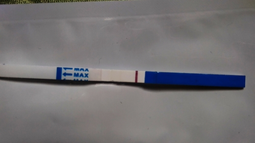 Home Pregnancy Test, 11 Days Post Ovulation, FMU, Cycle Day 26