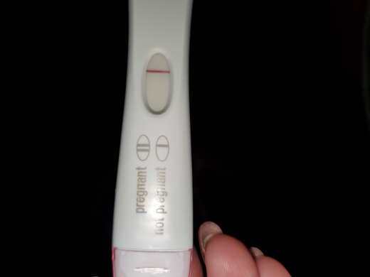 e.p.t. Pregnancy Test