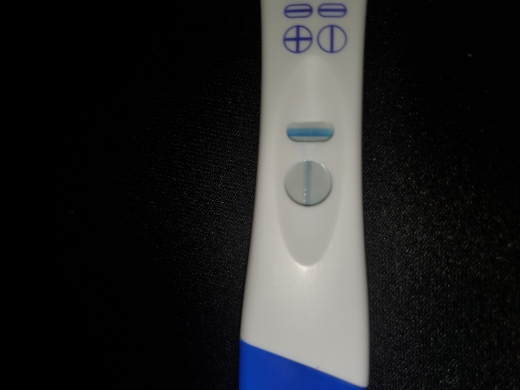 Home Pregnancy Test