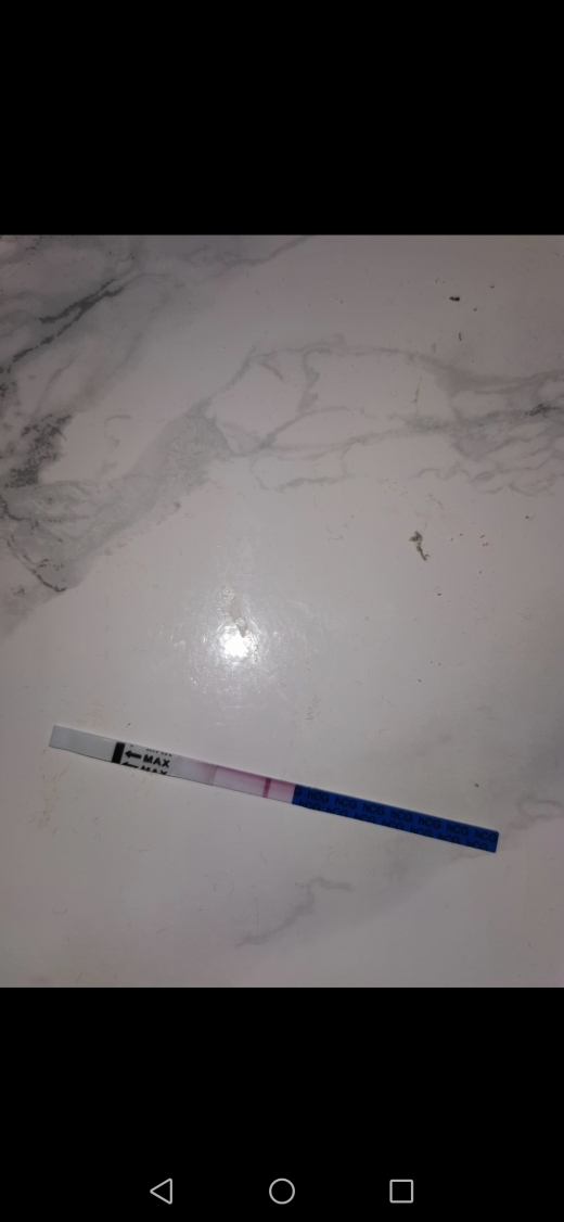 Home Pregnancy Test