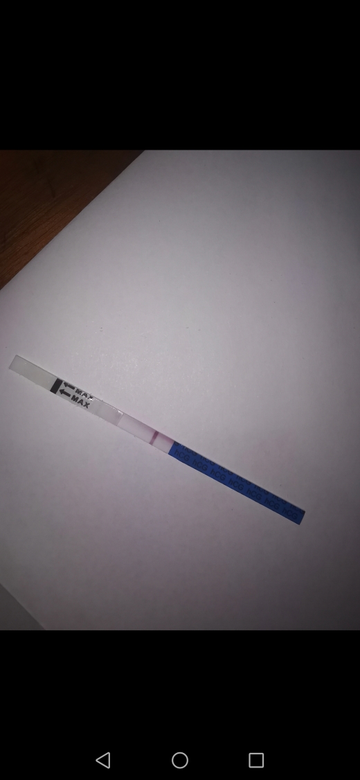Home Pregnancy Test